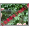 AG防眩玻璃漫反射玻璃无反射玻璃防反射玻璃低反射玻璃无影玻璃