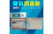 化妆品厂臭氧消毒柜