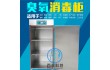 医疗器械臭氧消毒柜 【可定制】