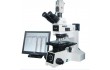 广州显微镜 微分干涉显微镜 半导体检测显微镜