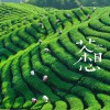 2018上海国际高端茶产业展览会-茶博会