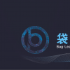 B&P2019 上海国际制袋与软包装技术展览会
