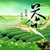 2019年第九届上海国际茶博会秋季茶叶展9月19日