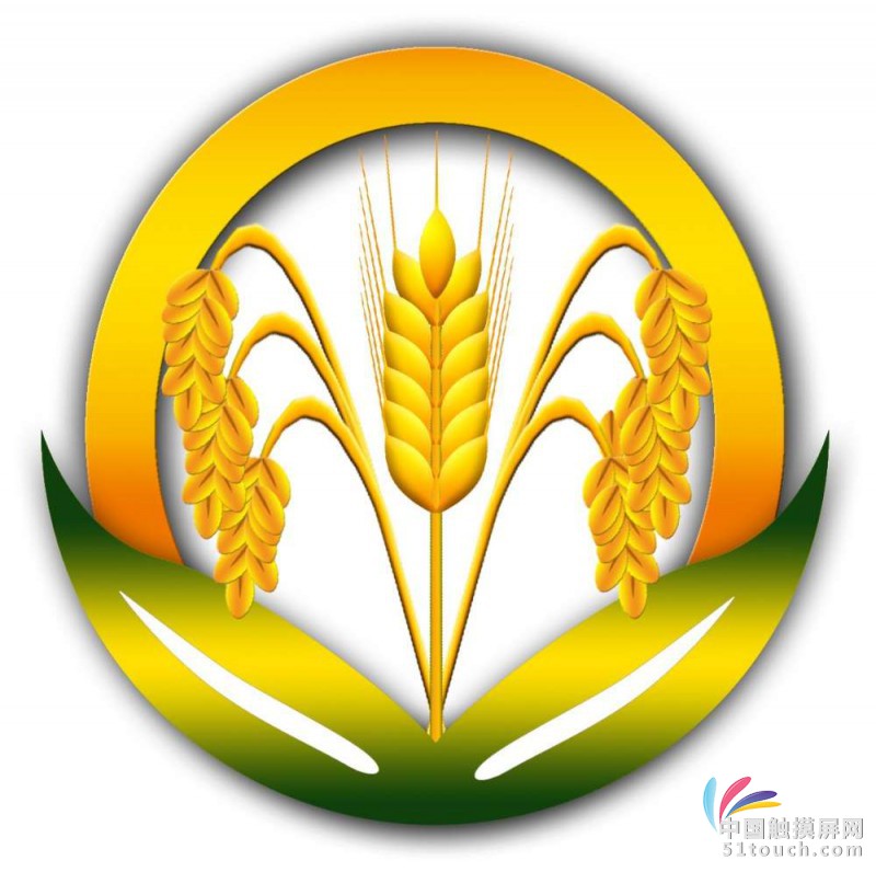 大米杂粮