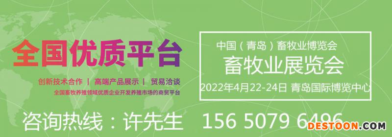 青岛1_副本_副本